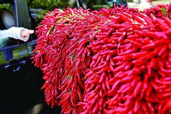 辣椒王價格多少錢一斤 辣椒王的功效與作用