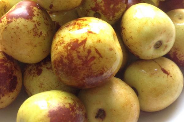 夢見吃棗子是什么意思 女人夢到自己吃大紅棗有什么預兆