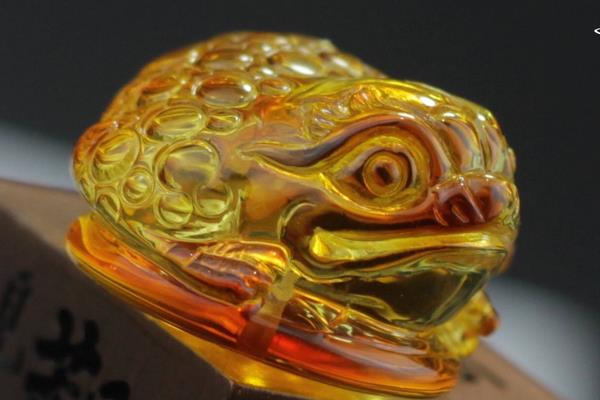 夢見金蟾是什么意思 女人夢到金蟾有什么預兆