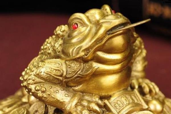 夢見金蟾是什么意思 女人夢到金蟾有什么預(yù)兆