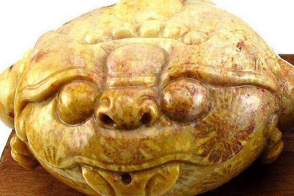 夢見金蟾是什么意思 女人夢到金蟾有什么預(yù)兆