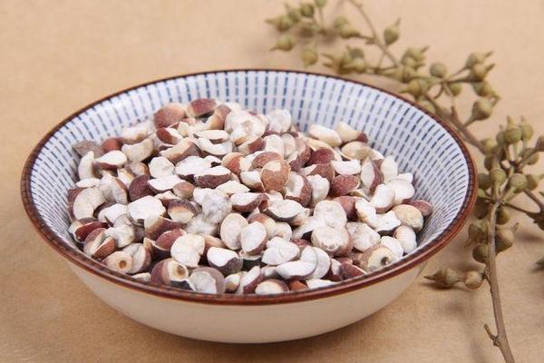 新鮮芡實怎么吃 芡實一天吃多少顆好