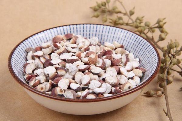 芡實是什么東西 芡實哪里產的最好