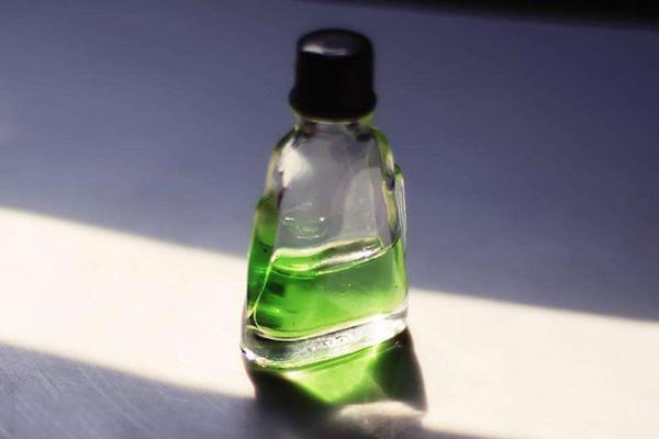 跳蚤為什么只咬一個人 跳蚤和蚊子咬的區別是什么