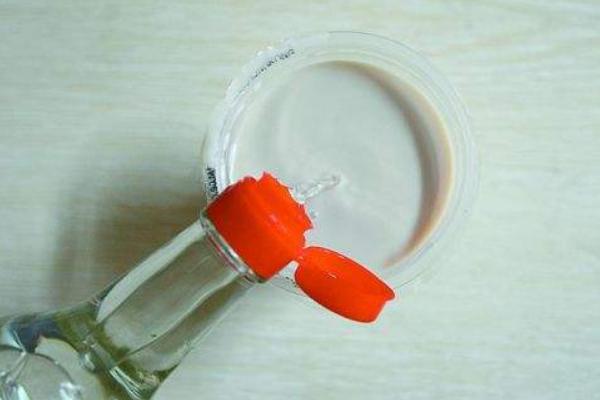 跳蚤的壽命有多長 樟腦丸對跳蚤有用嗎