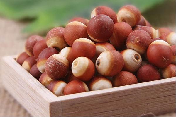 芡實市場價格多少錢一斤 芡實哪里有賣的
