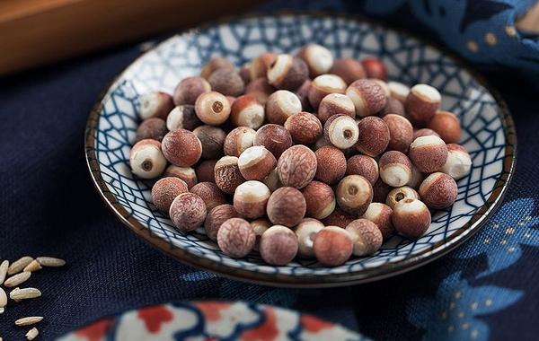 芡實市場價格多少錢一斤 芡實哪里有賣的