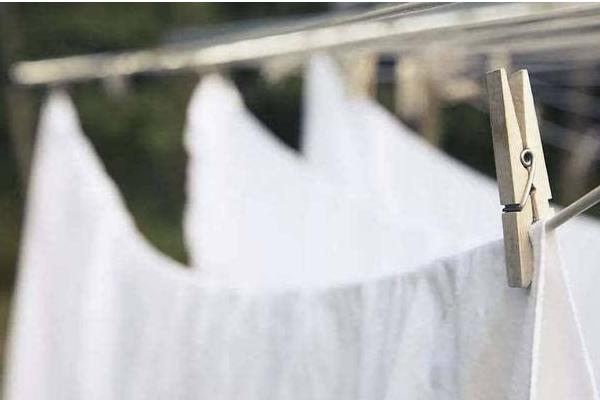 頭上長虱子怎么辦 頭上虱子怎么徹底去除