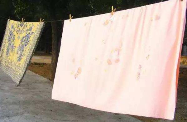 虱子卵怎么徹底去除 虱子卵幾天變成虱子