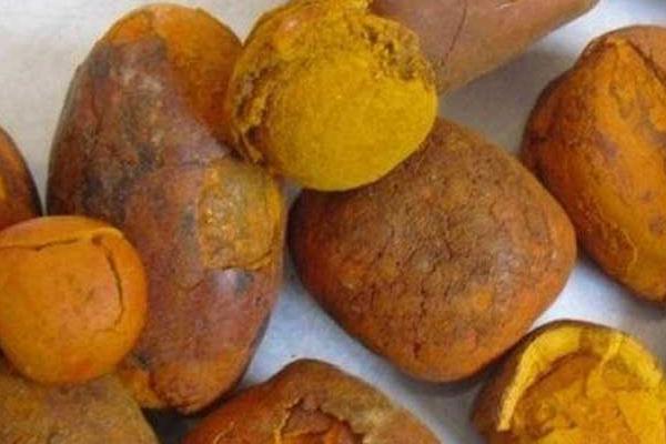 天然牛黃的功效與作用 天然牛黃是怎么形成的