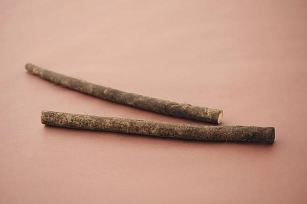 牛蒡子和牛蒡的區別是什么 牛大力是牛蒡嗎