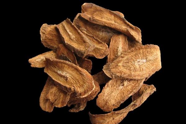 牛蒡種子市場(chǎng)價(jià)格多少錢(qián)一斤 牛蒡種子哪里有賣(mài)