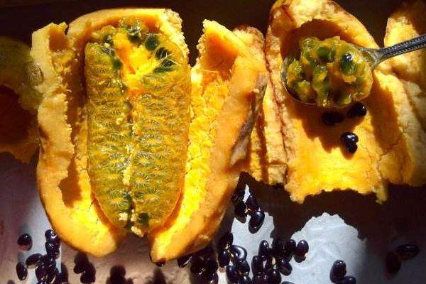 牛卵坨市場價格多少錢一斤 牛卵坨怎么吃