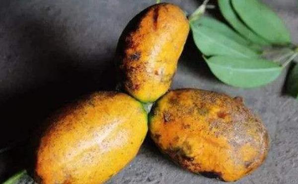 牛卵坨市場價格多少錢一斤 牛卵坨怎么吃