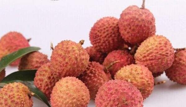 桂味荔枝市場價格多少錢一斤 桂味荔枝產地在哪里