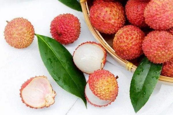 桂味荔枝市場價格多少錢一斤 桂味荔枝產地在哪里