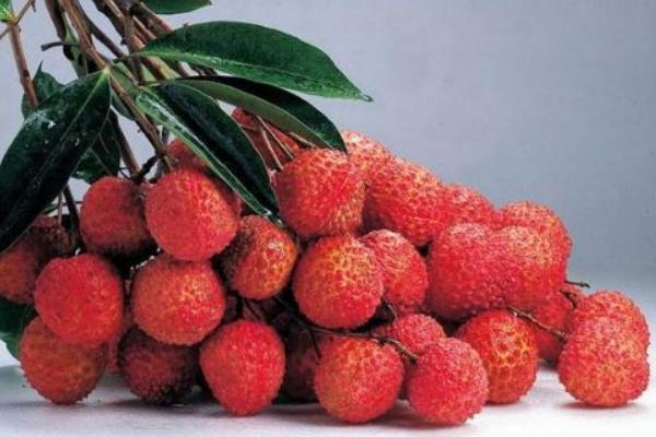 荔枝吃多了會怎么樣 吃荔枝會上火嗎