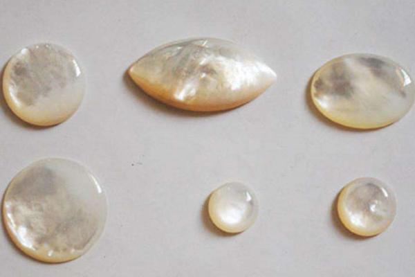 白貝母是什么 白貝母為什么貴