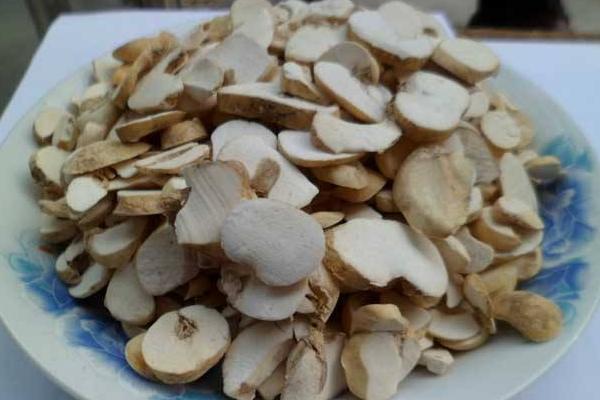 浙貝母功效與作用及禁忌 浙貝母市場價格多少錢一克