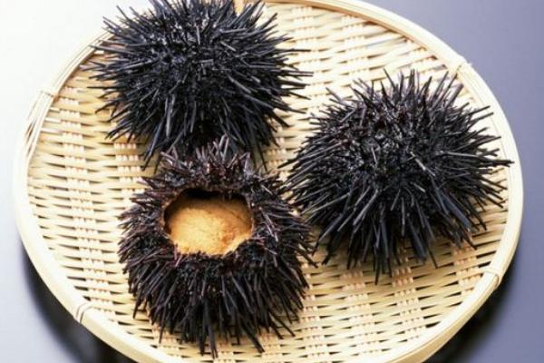 海膽什么味道 海膽怎么處理