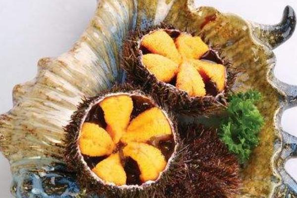 海膽怎么做好吃又簡(jiǎn)單 吃海膽壯陽(yáng)嗎
