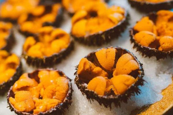 被海膽刺到怎么辦 海膽怎么挑選