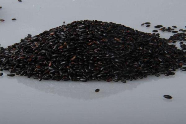 吃黑米有什么好處和壞處 黑米吃多了會上火嗎