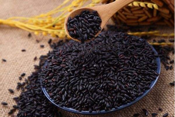 黑米怎么煮容易爛 黑米為什么煮不爛