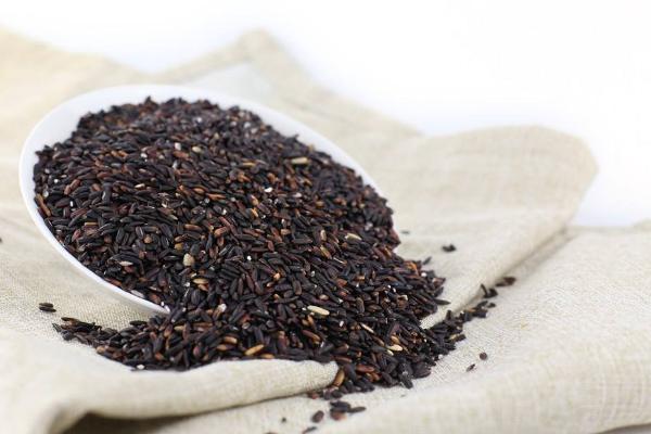 黑米長蟲還能吃嗎 黑米有點發霉可以吃嗎