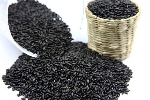 懷孕能吃黑米嗎 女人吃黑米有什么好處