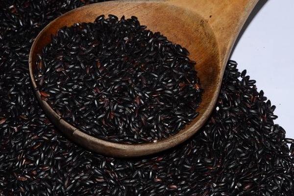 懷孕能吃黑米嗎 女人吃黑米有什么好處