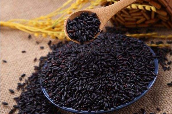 懷孕能吃黑米嗎 女人吃黑米有什么好處