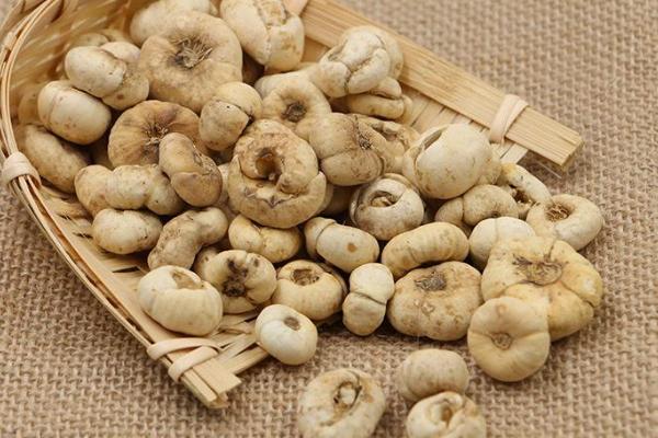 貝母市場價格多少錢一斤 貝母有哪些品種