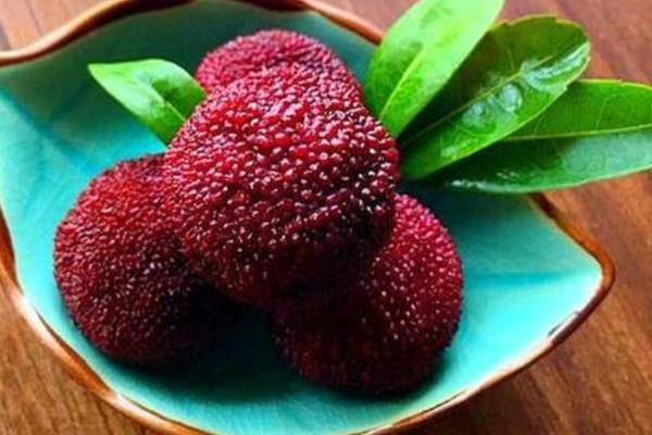 楊梅不洗能吃嗎 楊梅為什么要用鹽水泡 楊梅里的蟲子能吃嗎