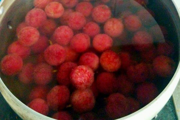 楊梅不洗能吃嗎 楊梅為什么要用鹽水泡 楊梅里的蟲子能吃嗎