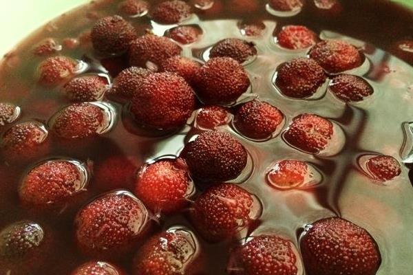 楊梅不洗能吃嗎 楊梅為什么要用鹽水泡 楊梅里的蟲子能吃嗎