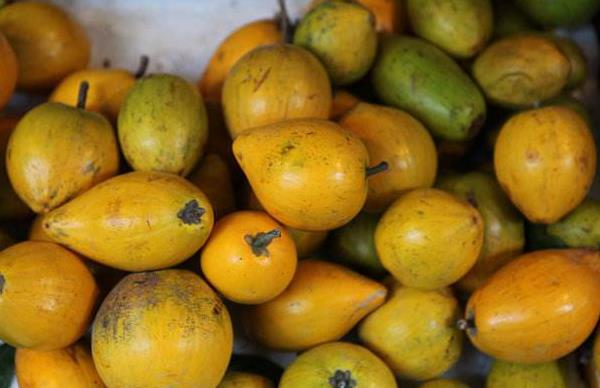 蛋黃果的功效與作用及禁忌 蛋黃果的營養(yǎng)價(jià)值