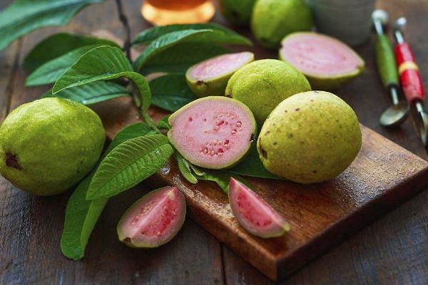 番石榴籽能吃嗎 吃番石榴上火嗎