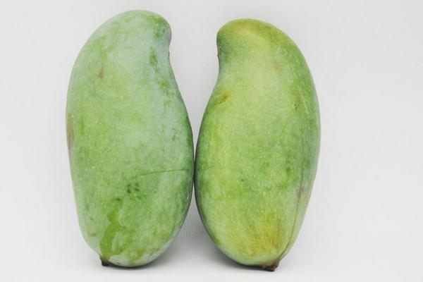 桂七芒果怎樣辨別生熟 桂七芒果怎么存放