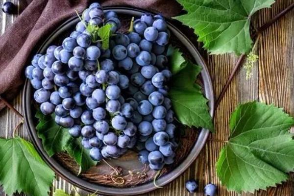 葡萄上有刺能吃嗎 葡萄外皮有斑點能吃嗎