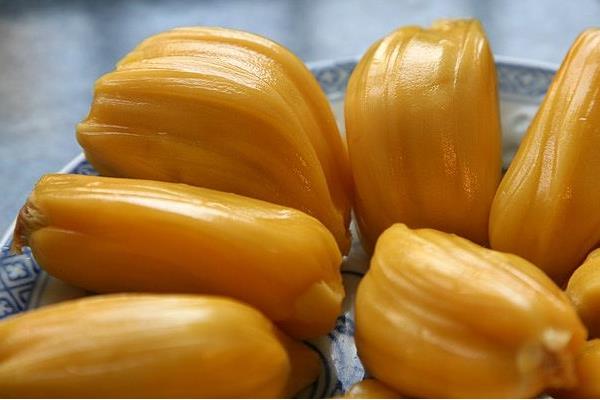 木菠蘿怎么吃 木菠蘿怎么開