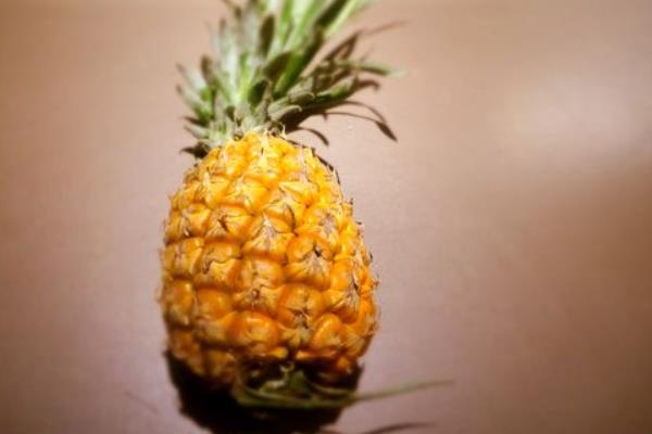 手撕菠蘿怎么撕 手撕菠蘿需要用鹽水泡嘛