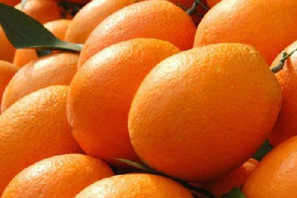 紐荷爾臍橙市場價(jià)格多少錢一斤 紐荷爾臍橙怎么挑選