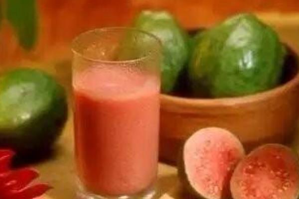 番石榴茶的功效與作用及禁忌 番石榴茶能降血糖嗎