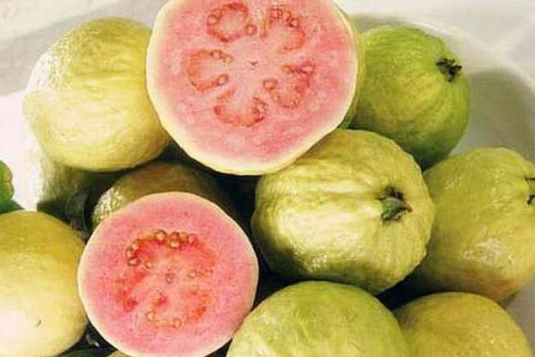 番石榴紅心和白心的區別是什么 紅心番石榴怎么吃