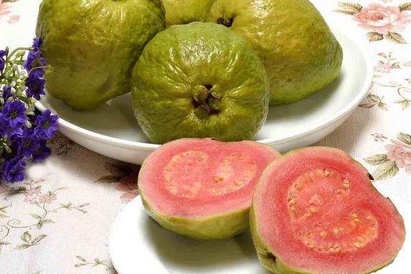 番石榴好吃嗎 番石榴是什么