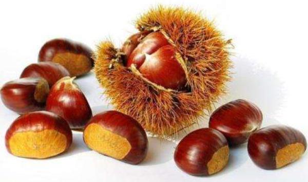 板栗什么時候上市(幾月) 板栗之鄉在哪里