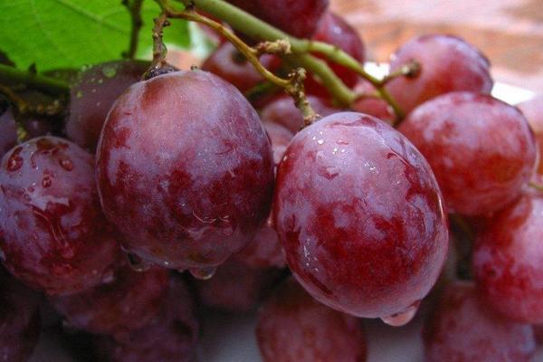 葡萄為什么會裂開 葡萄怎么保存時間長