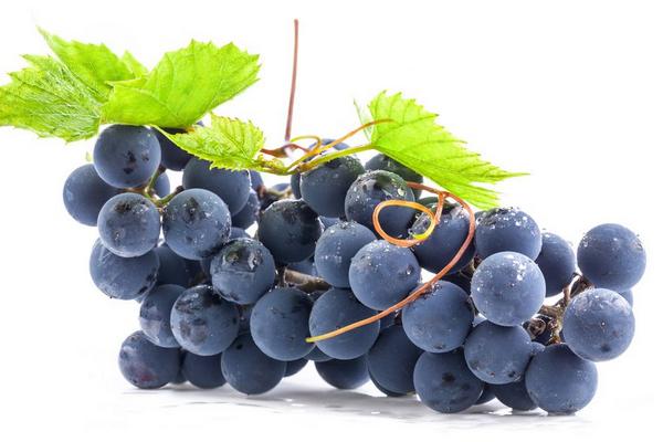 葡萄像什么 葡萄有哪些品種