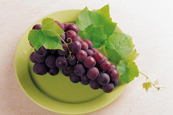 葡萄像什么 葡萄有哪些品種